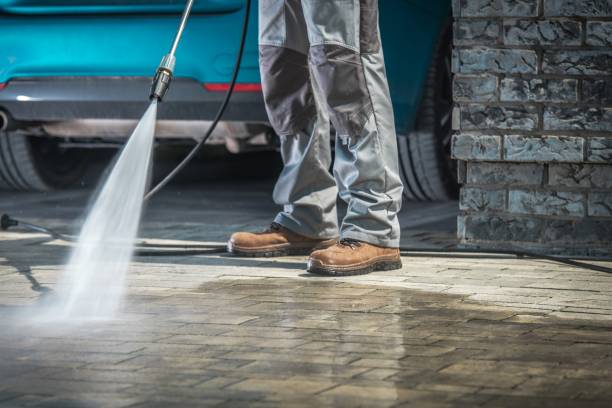 Trusted Mayo, FL Pressure Washing Experts
