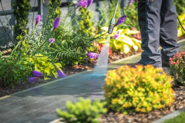 Best Dumpster Area Cleaning  in Mayo, FL