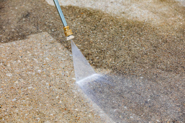 Best Spring Cleaning  in Mayo, FL