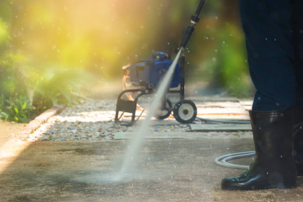 Best Driveway Pressure Washing  in Mayo, FL
